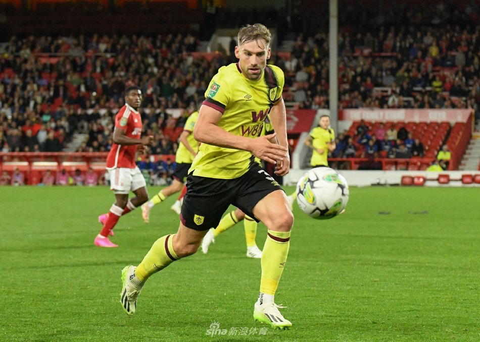 得佳绩的贝 得佳绩的贝