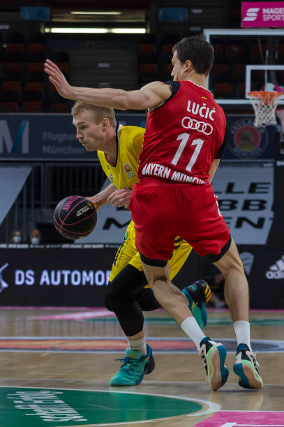 这证明了他 这证明了他